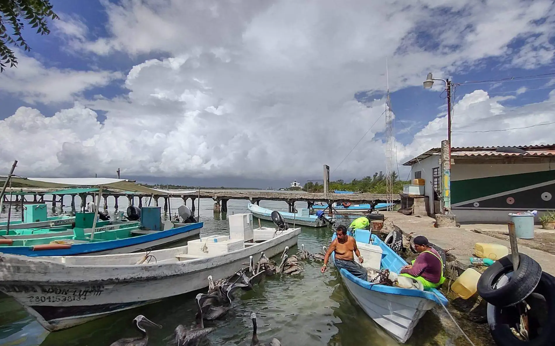 Dejan fuera a Tamaulipas del programa Bienpesca